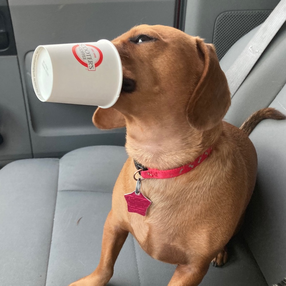 Meet your Posher, Nicholas